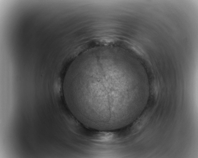 X0000088690328200706071525