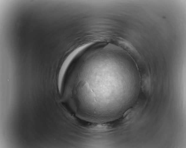 X0000088690329200706071525