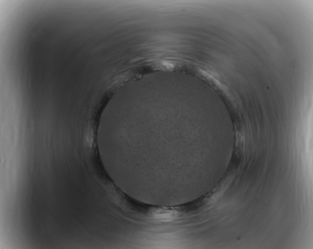 X0000088690331200706071525