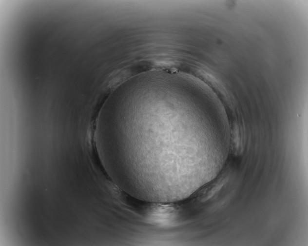 X0000088690333200706071525