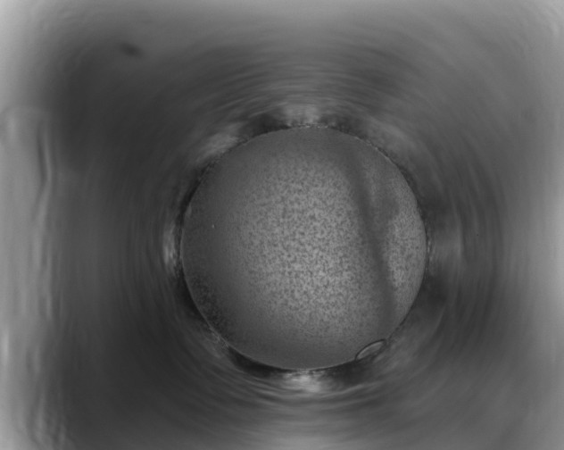 X0000088690335200706071525