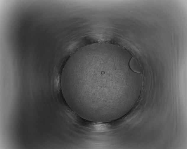 X0000088690336200706071525