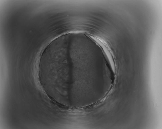 X0000088690337200706071524