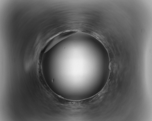 X0000088690338200706071524