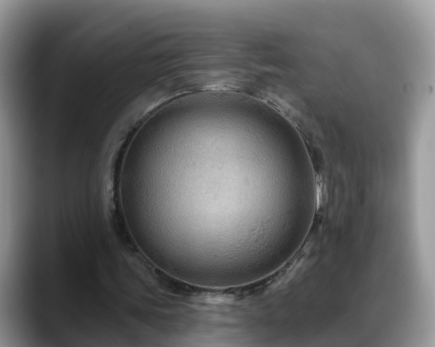 X0000088690339200706071524