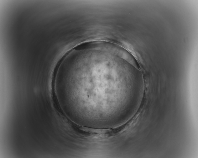 X0000088690340200706071524