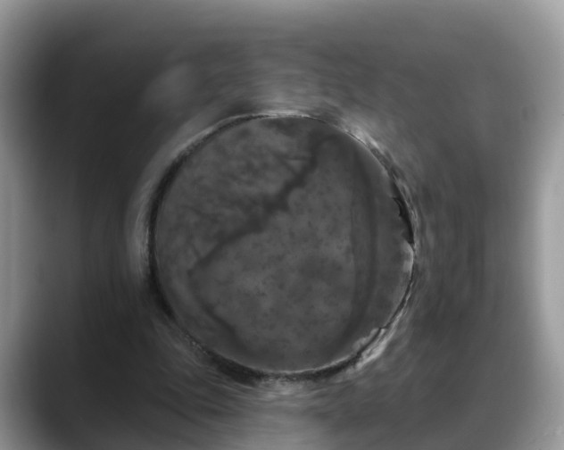 X0000088690343200706071524