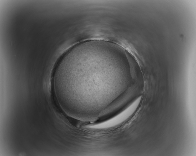 X0000088690344200706071524