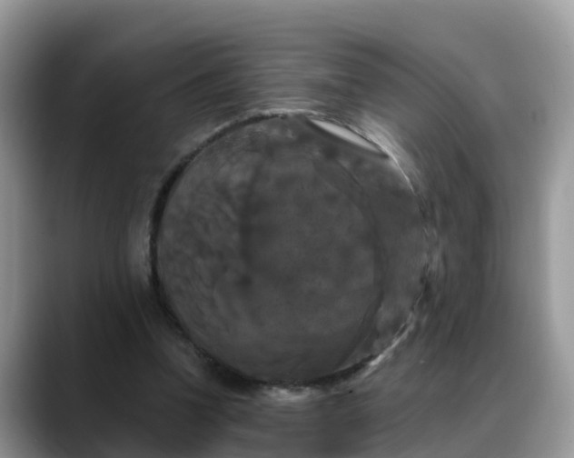 X0000088690346200706071524