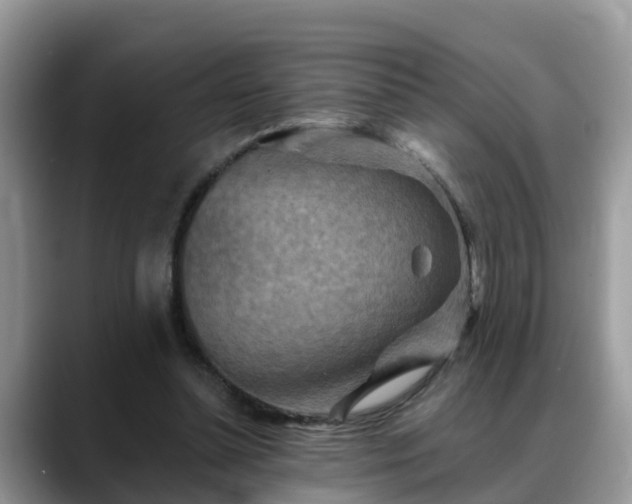 X0000088690348200706071524