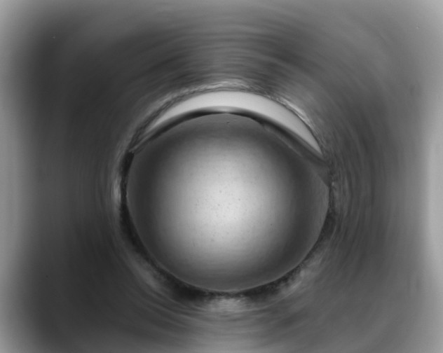 X0000088690350200706071524