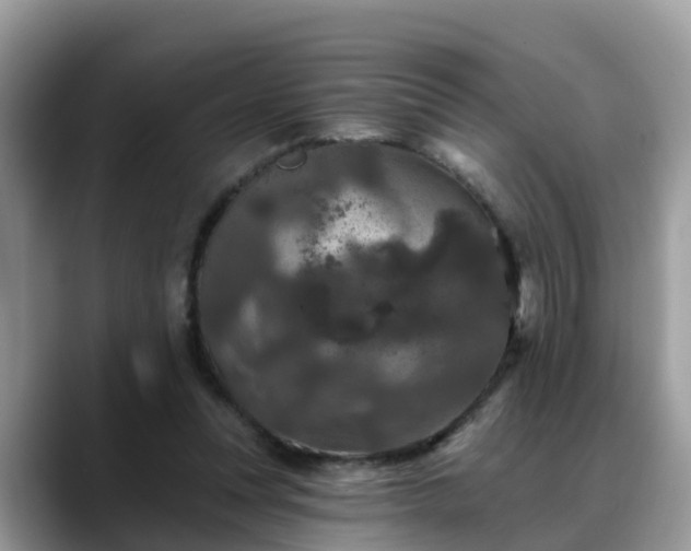 X0000088690351200706071524