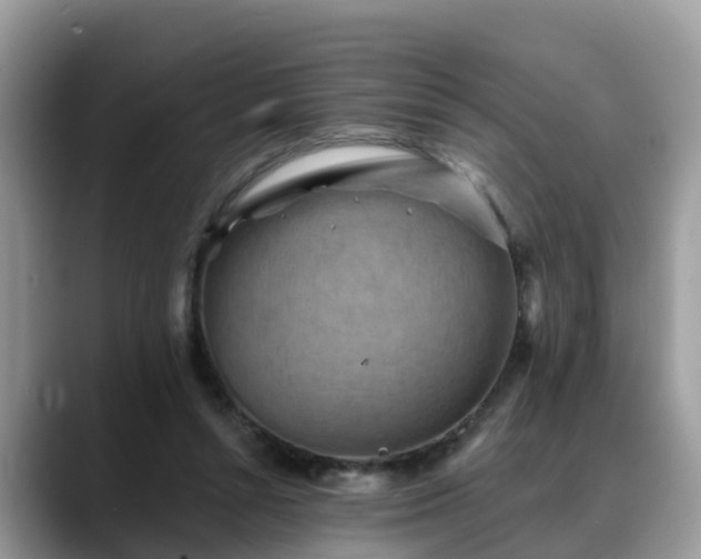 X0000088690352200706071524
