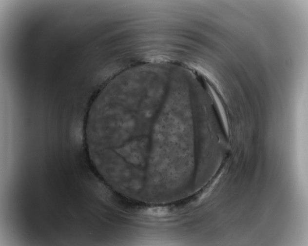 X0000088690353200706071524