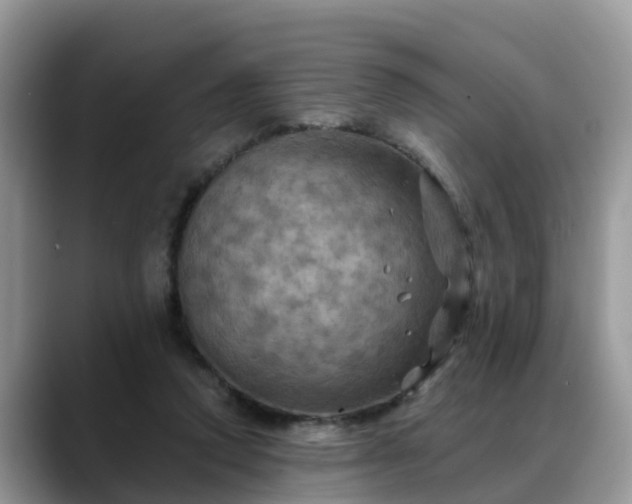 X0000088690354200706071524