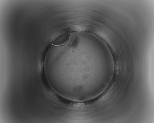 X0000088690355200706071524