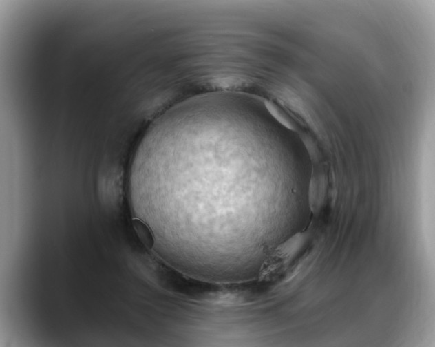 X0000088690356200706071524