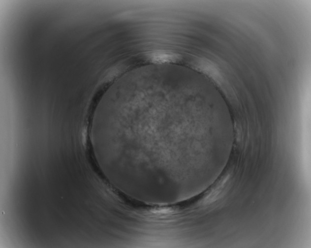 X0000088690357200706071524