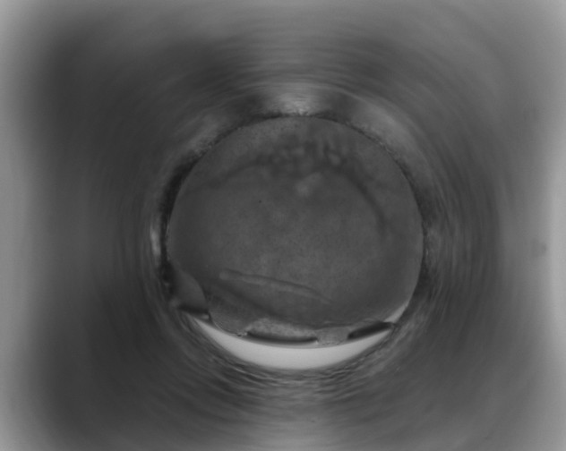 X0000088690358200706071524