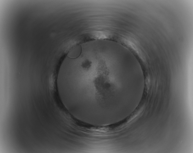 X0000088690359200706071524