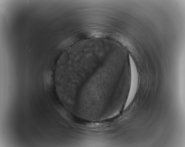 X0000088690361200706071524