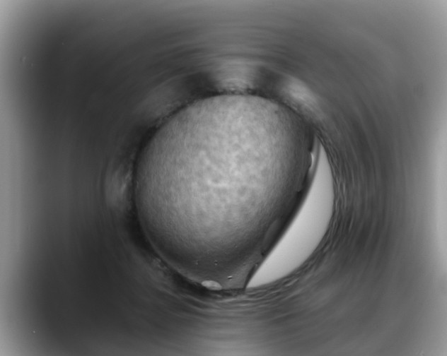 X0000088690364200706071524