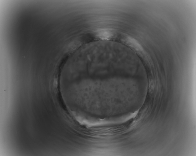 X0000088690365200706071524