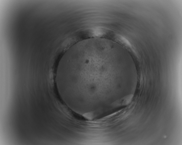 X0000088690366200706071524