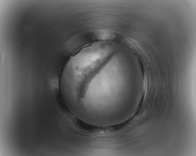 X0000088690368200706071524