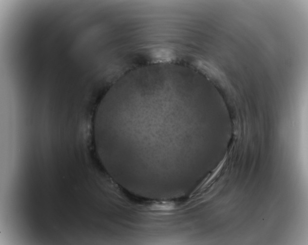 X0000088690369200706071524