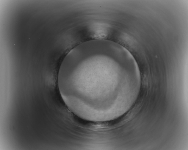 X0000088690370200706071524