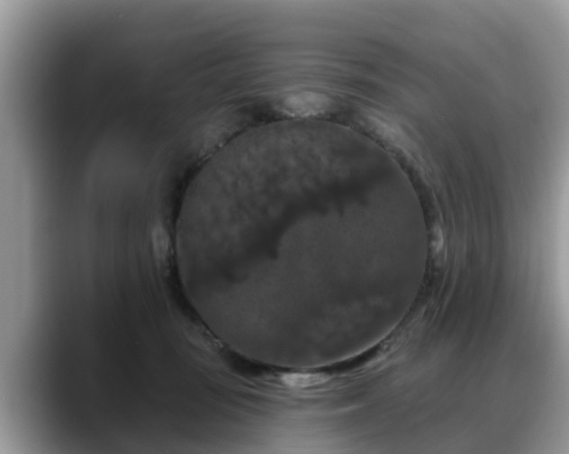 X0000088690371200706071524