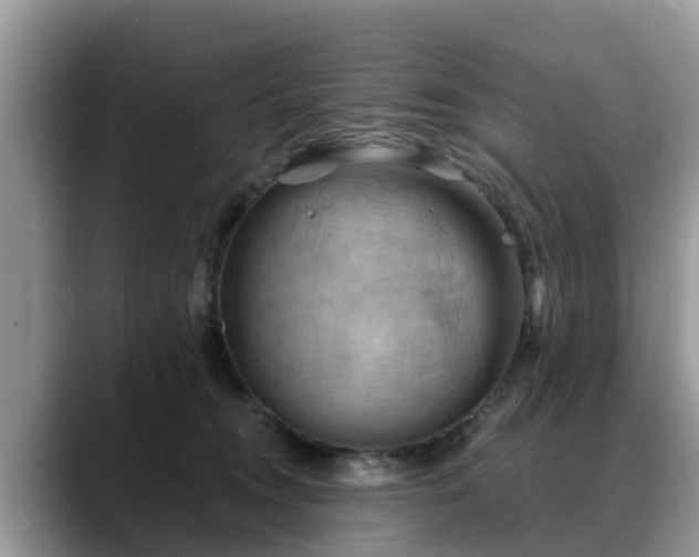 X0000088690372200706071524