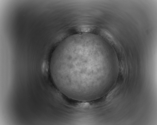 X0000088690374200706071524