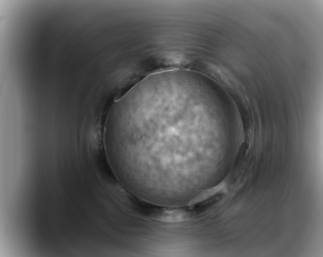 X0000088690376200706071524