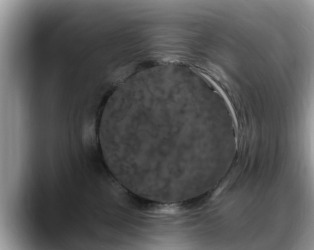 X0000088690377200706071524