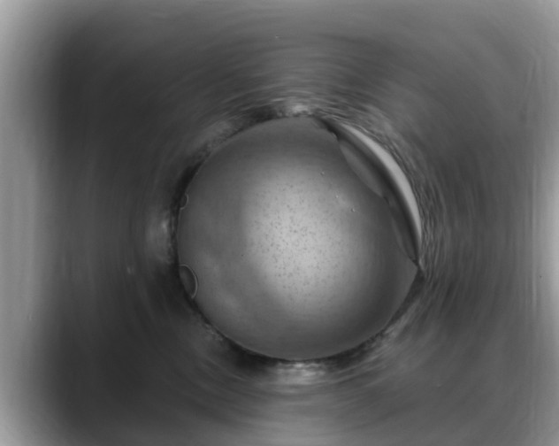 X0000088690378200706071524