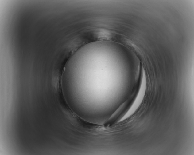 X0000088690379200706071524