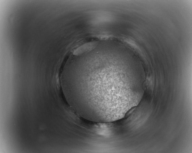 X0000088690381200706071524