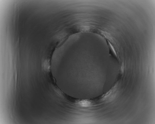 X0000088690383200706071524