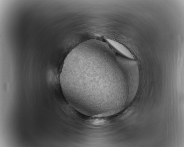 X0000088690384200706071524