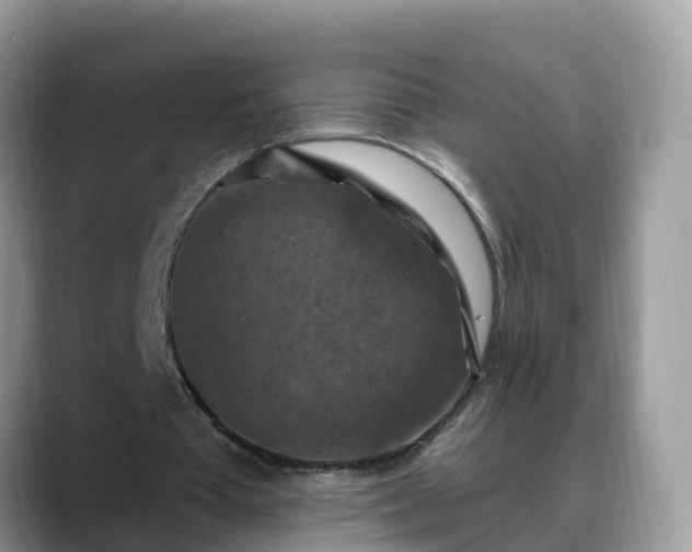 X0000088690385200706071524