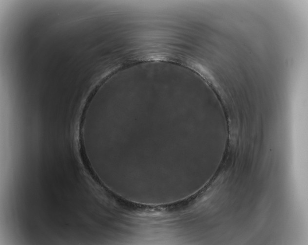 X0000088690386200706071524
