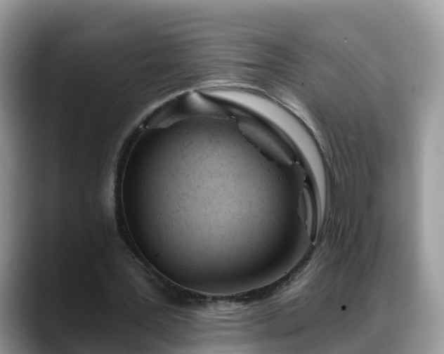 X0000088690387200706071524