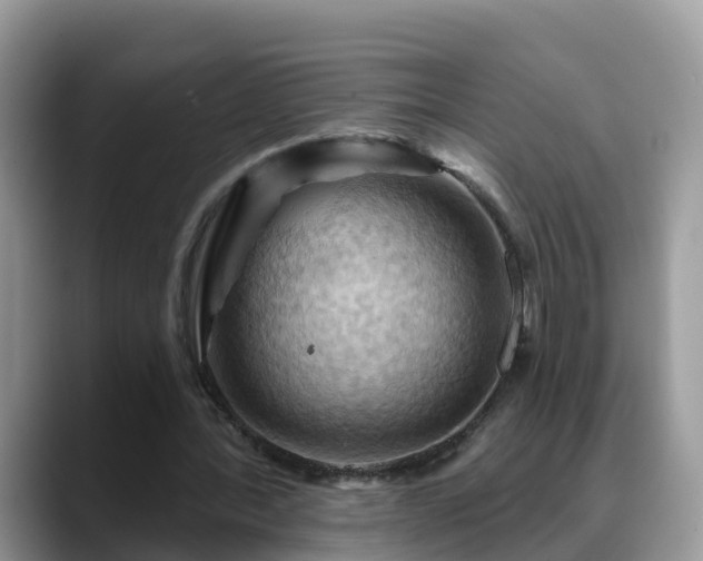 X0000088690388200706071524
