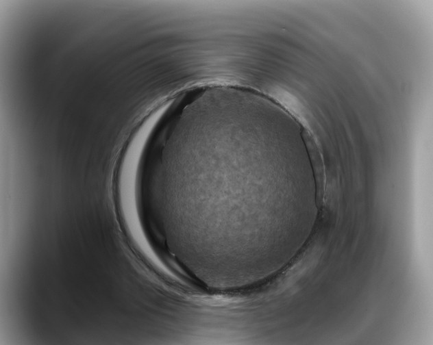 X0000088690389200706071524