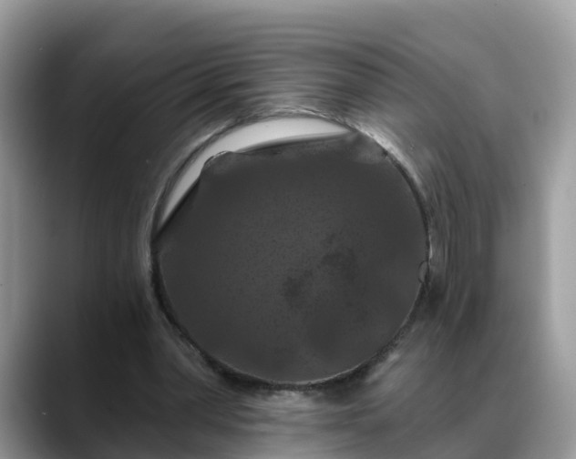 X0000088690390200706071524