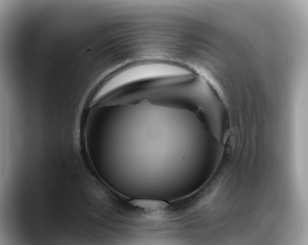 X0000088690391200706071524