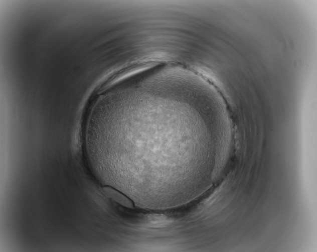 X0000088690392200706071524
