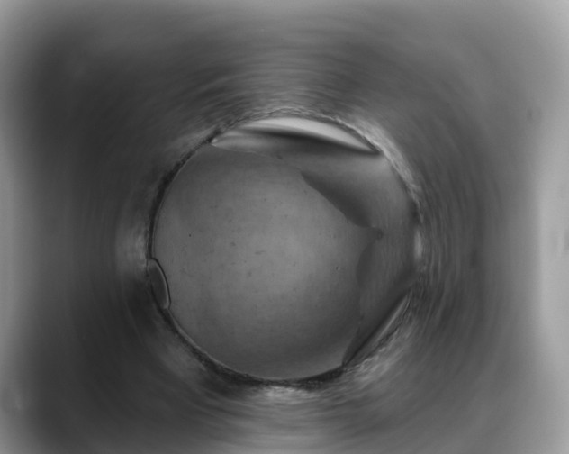 X0000088690393200706071524